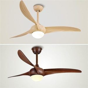 Indoor Ceiling fan light