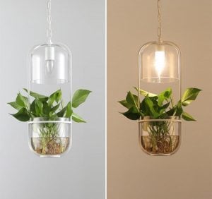 Lámpara colgante de cristal con plantas acuáticas