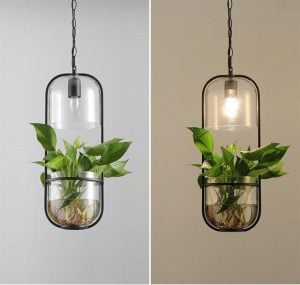 Lampe à suspension en verre pour plantes aquatiques Lampe à suspension écologique pastorale